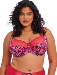 ELOMI - FREE EXPRESS SHIPPING -Morgan Stretch Banded Bra- Sunset Meadow