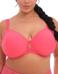 ELOMI - FREE EXPRESS SHIPPING -Charley Moulded Spacer Bra- Honeysuckle