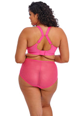 ELOMI - FREE EXPRESS SHIPPING - Charley Spacer Elomi Bra