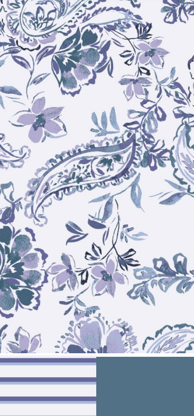 Jockey Panties - Elance Cotton Comfort 3 Pack Hipsters 7464 - Paisley Floral/Montauk Stripe/Fresh Coast