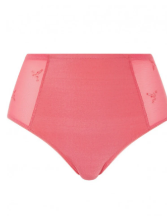 CHANTELLE - FREE SHIPPING - Every Curve Brief Chantelle Panties