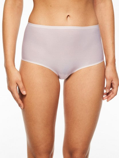 Women's 100% Mulberry Silk Underwear Seamless Low-Waist Briefs Panties  Hipster